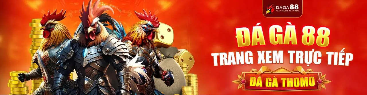 daga truc tiep - xem đá gà trực tiếp trên nền tảng online uy tín